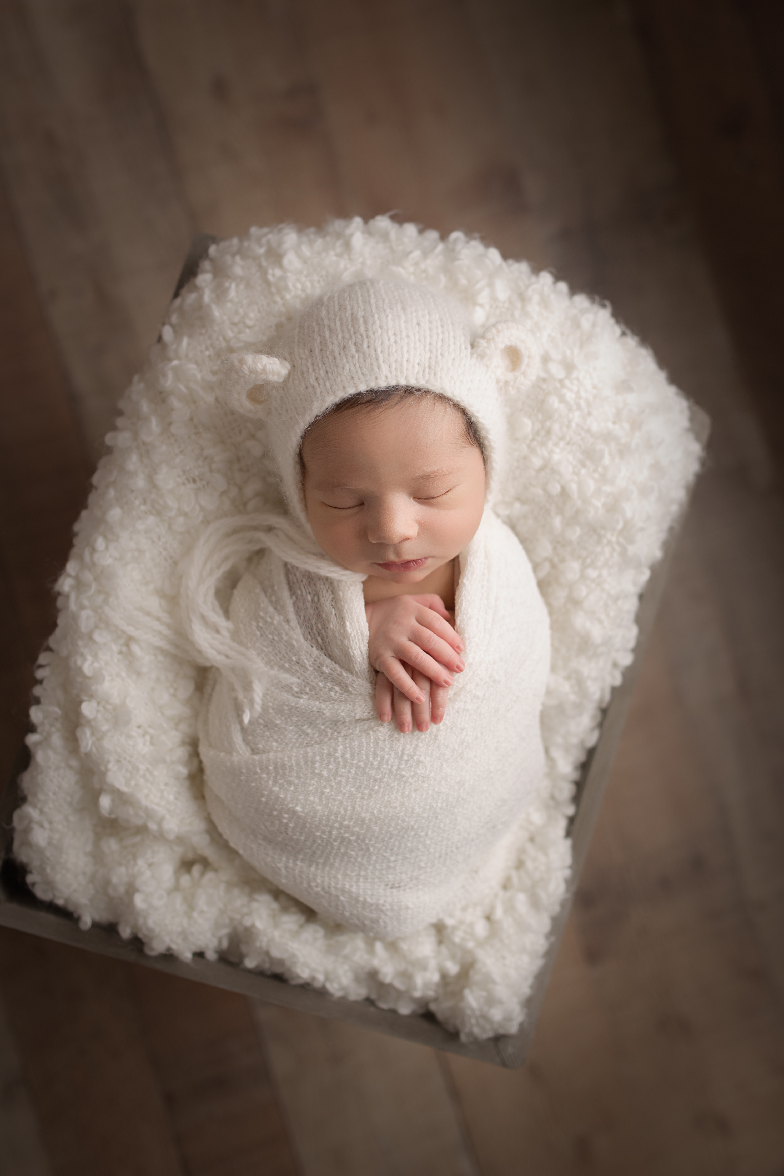 Logan's newborn session, newborn photographer, lancaster pa