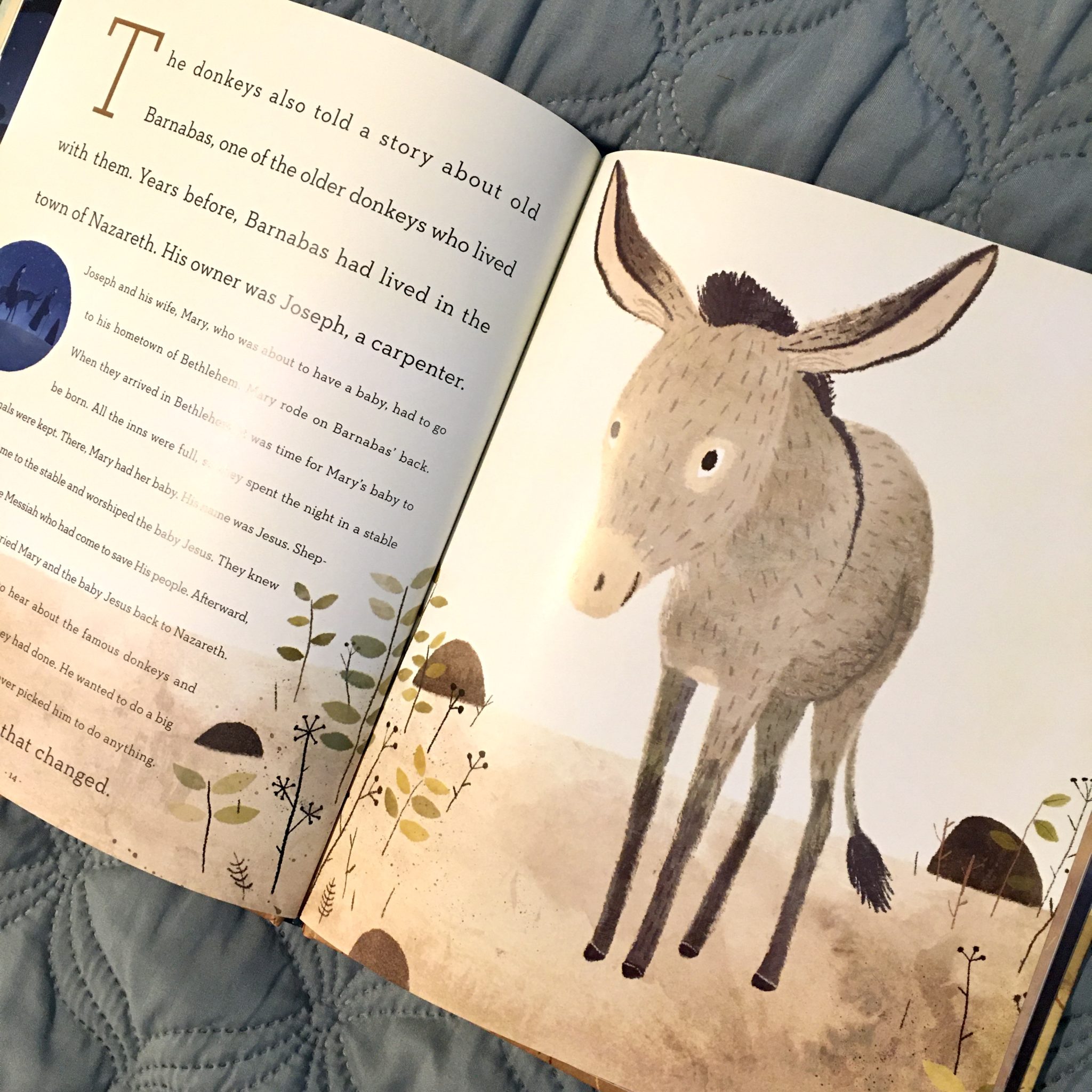 The Donkey Who Carried a King - A Book Review - Laurie Christine